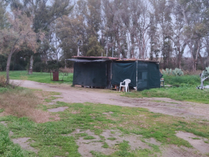 galeso_gen26-veraleaks_-13-scaled