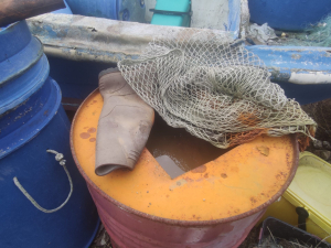 galeso_gen26-veraleaks_-20-scaled