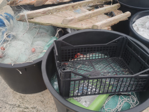 galeso_gen26-veraleaks_-3-scaled