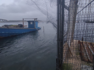 pizzone_gen26-veraleaks-20-scaled