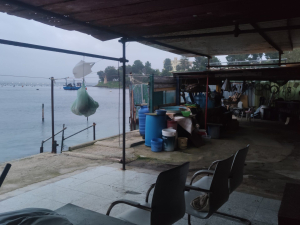 pizzone_gen26-veraleaks-22-scaled