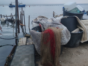 pizzone_gen26-veraleaks-9-scaled